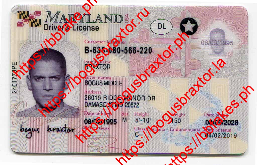 Braxter Fake Id