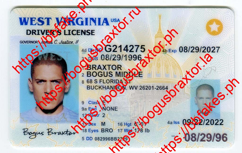 Romanian Id Card Fake