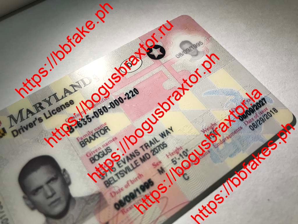 Maryland Real Id Vs Fake