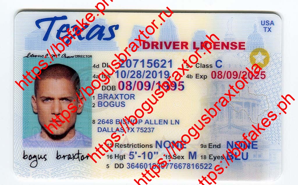 Fake Id Megapack 1 Gb